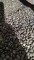 LDPE black granules